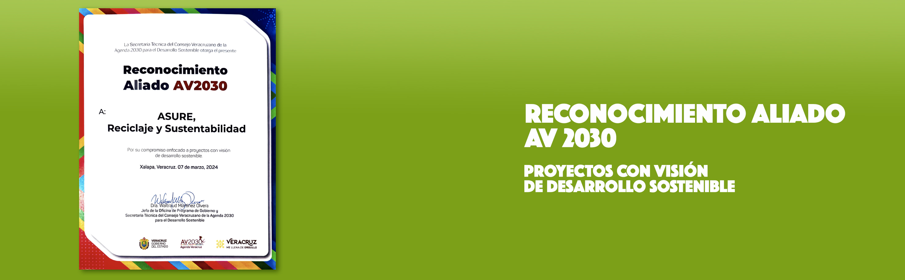 Reconocimiento AV2030